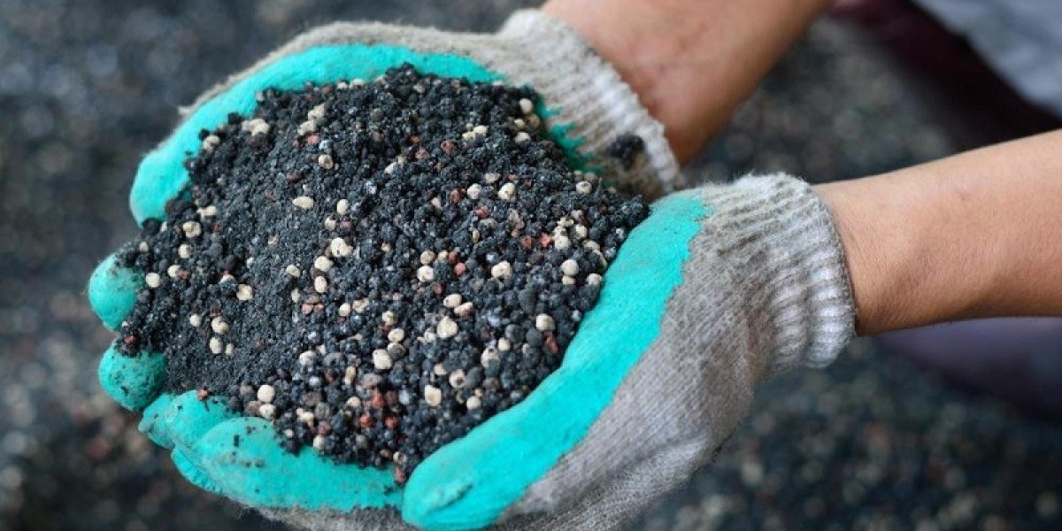 Cách Chăm Sóc Mai Sau Tết Để Năm Sau Lại Ra Hoa Rực Rỡ