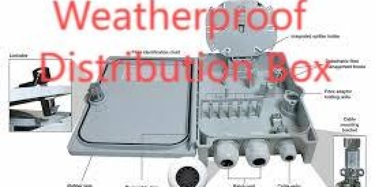 Solutions That Adapt to Outdoor Energy Needs