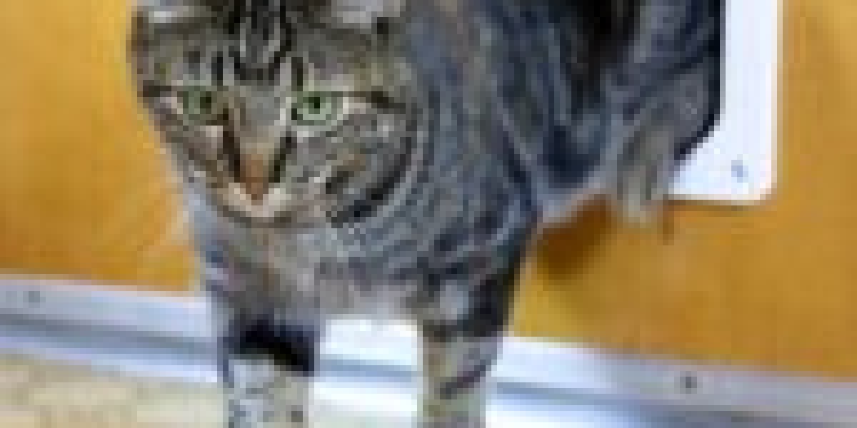 8 Tips To Increase Your Cat Flap Fitting Game