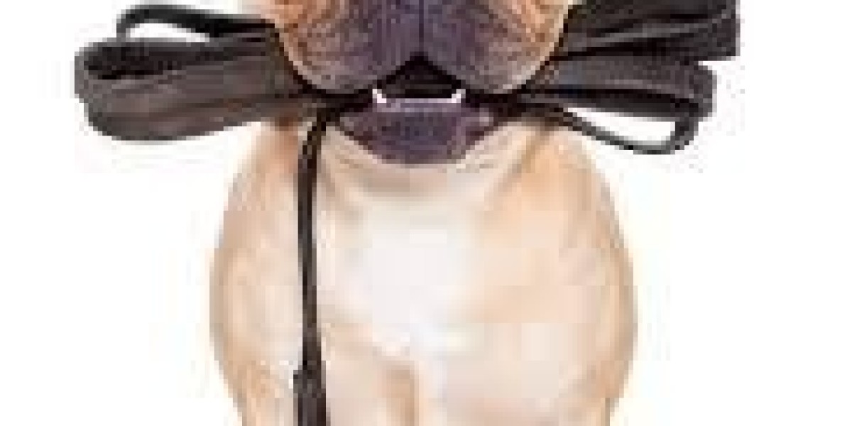 Stronger Connections: Dog Leash Manufacturer tallfly’s Innovative Leash Designs for Active Pets